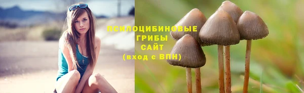 mdpv Балахна