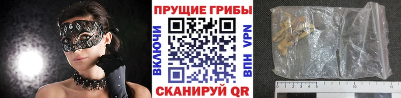 гидра ССЫЛКА  цены наркотик  Переславль-Залесский  Галлюциногенные грибы прущие грибы 