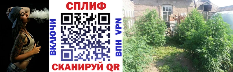 ссылка на мегу tor  Переславль-Залесский  Конопля THC 21% 